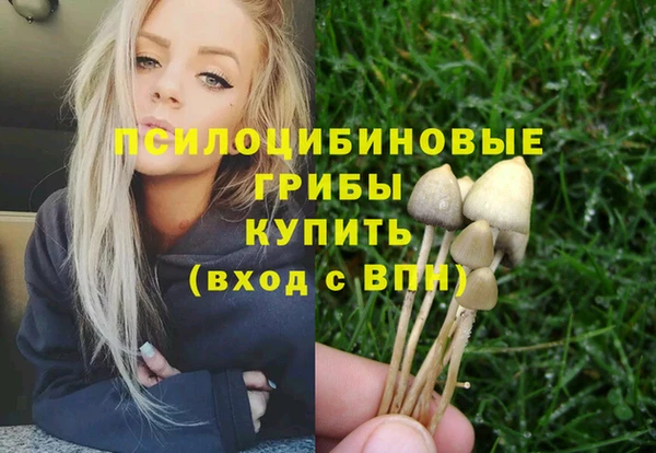 бошки Михайловка