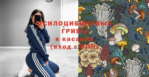 дмт Михайловск
