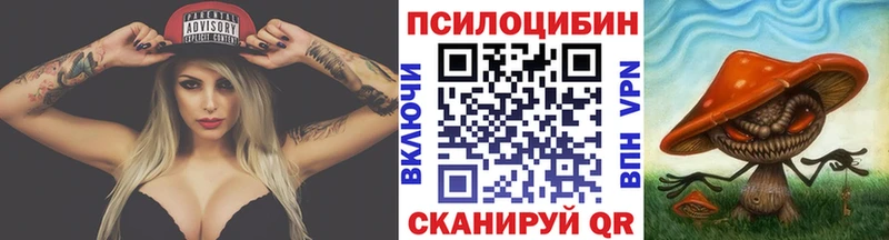 Псилоцибиновые грибы Cubensis Нижний Ломов
